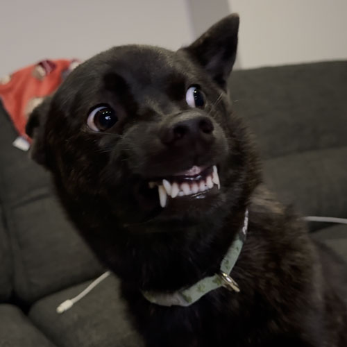 なぎのアイコン画像